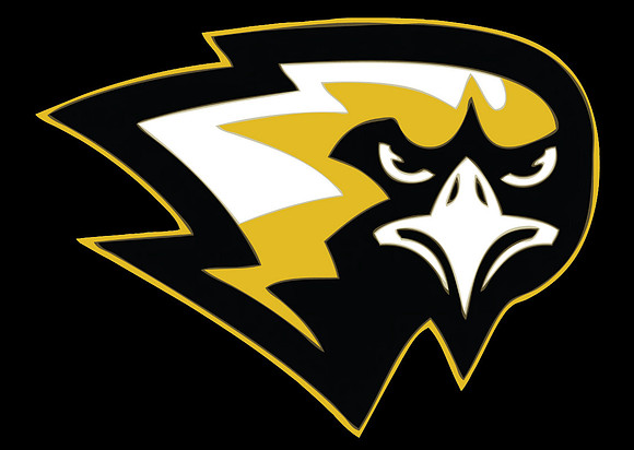 falconhead