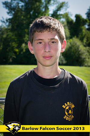 Alex Angelescu